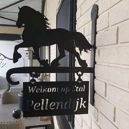 Luxe Gastenkamer Met Living En Keuken Bij Friezen Paarden Stal Pellendijk Westendorp Экстерьер фото