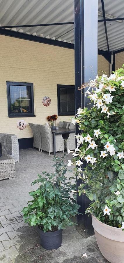 Luxe Gastenkamer Met Living En Keuken Bij Friezen Paarden Stal Pellendijk Westendorp Экстерьер фото