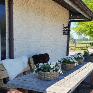 Luxe Gastenkamer Met Living En Keuken Bij Friezen Paarden Stal Pellendijk Westendorp Экстерьер фото